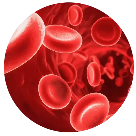 a51354382f4636487cad0c470a01b668.bloodcount-1